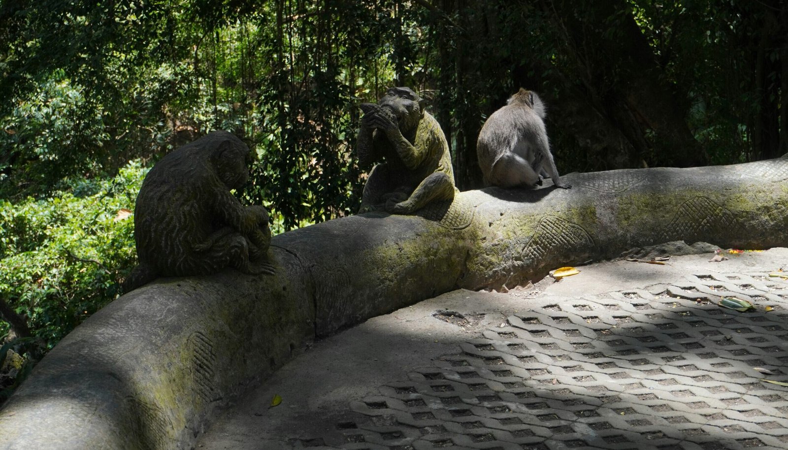 monke